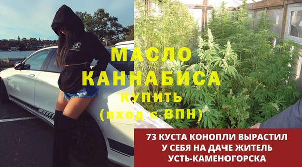 ешки Арсеньев