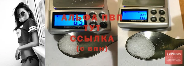 кокс Белокуриха
